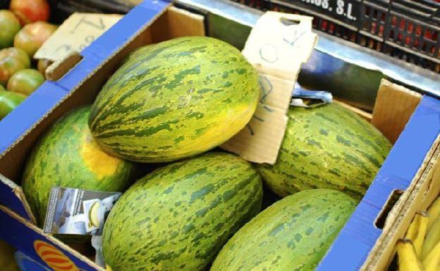 El melón Piel de sapo se comercializará el próximo año bajo la marca IGP Torre Pacheco.