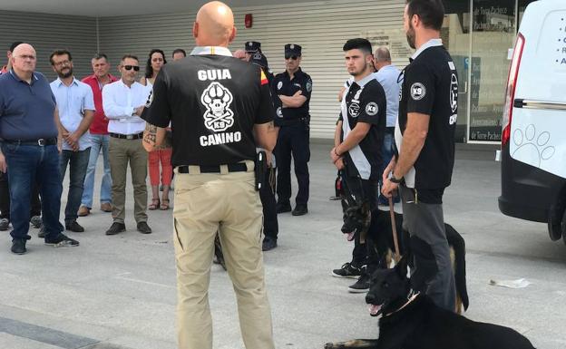 Los guías caninos y los perros policía durante la exhibición que hicieron en la plaza del Ayuntamiento.