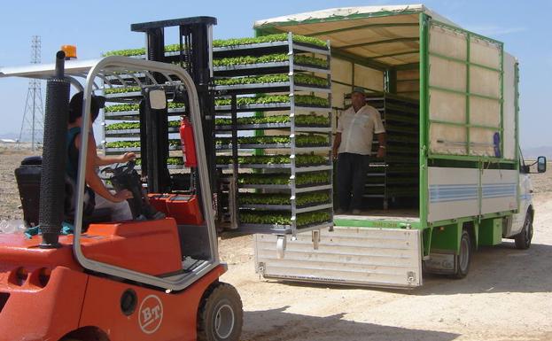 La agricultura es uno de los motores de la economía local.