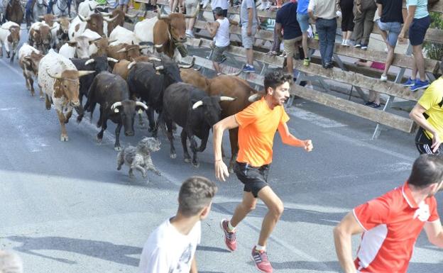 Un momento del encierro./G. Carrión / AGM