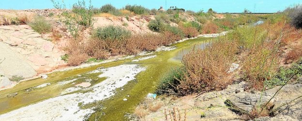 Fotografía tomada la pasada semana en la rambla del Albujón, en la que se evidencia la existencia de nuevos vertidos que acaban en el Mar Menor.