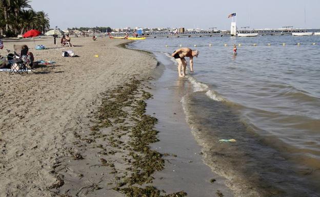 Aguas turbias y plagadas de algas en la orilla de la playa de Santiago de la Ribera.