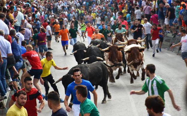 Tercer encierro en Calasparra.