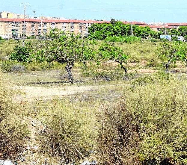 Terrenos urbanizables junto al centro de ocio Mandarache.