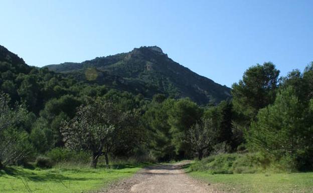 La cumbre del Roldán emerge entre pinos y algarrobos, cerca del parque de Tentegorra./