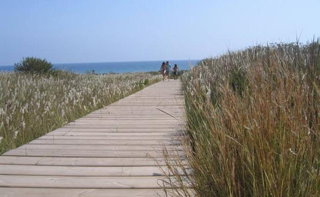 La pasarela de madera que lleva hasta el mar./