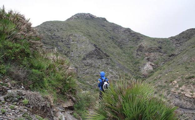 La cumbre del Atalayón (en el centro) destaca en la fachada montañosa del tramo Cala Reona-Calblanque./