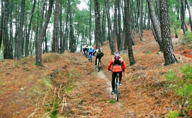 Un grupo de ciclistas pedalea por la sierra./