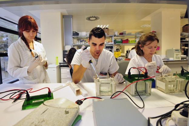 Investigadores trabajando en los laboratorios del IMIB del Centro Regional de Hemodonación./Vicente Vicéns / AGM