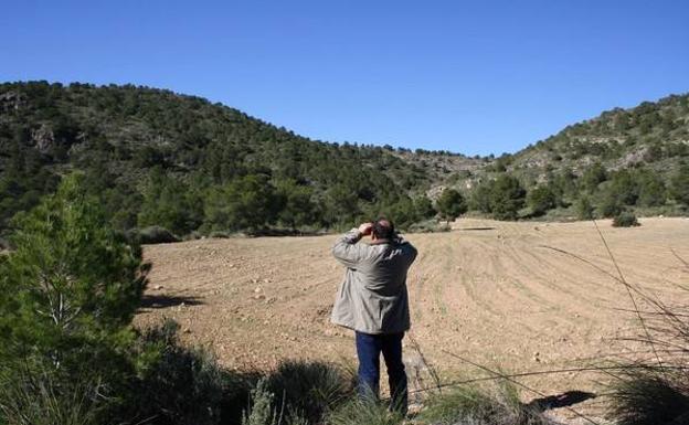 Buscando ciervos con los prismáticos en el interior del coto./