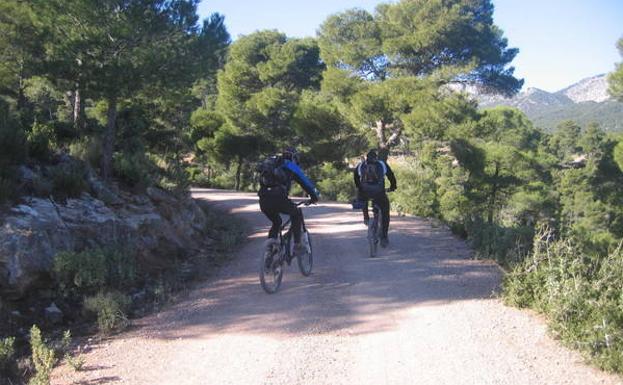 Ciclistas en el camino de la Umbría de Peña Apartada./