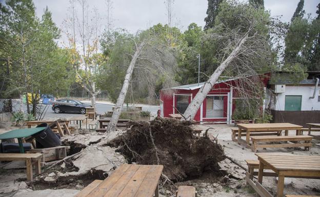 Árboles arrancados por el viento junto a un kiosko en Tentegorra, Cartagena./José María Rodríguez / AGM