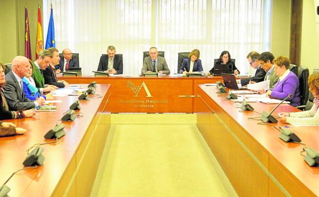 Diputados debatiendo las enmiendas parciales, en la Comisión de Economía de la Asamblea./Antonio Gil / AGM