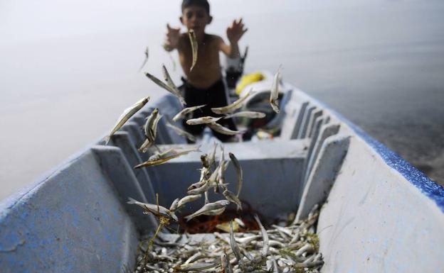 Un niño arroja al interior de su barca las capturas./Reuters