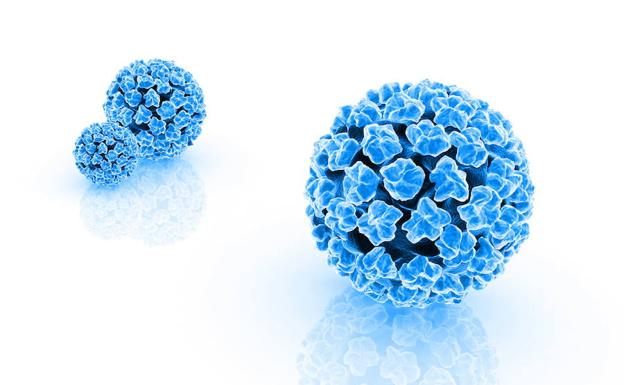 El virus de la gripe./Fotolia