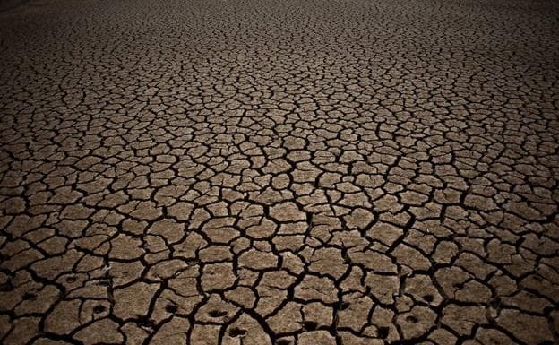Fondo cuarteado de un pantano vacío por la sequía./JORGE GUERRERO / AFP