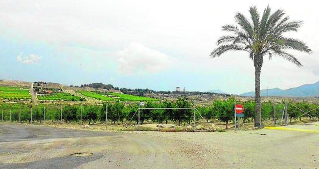 Vallado de la finca agrícola que ha cortado y ocupado la Colada del Camino de Alicante./EEA
