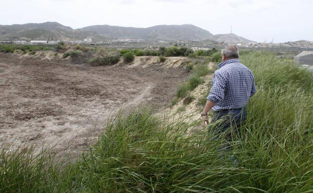 Imagen de los terrenos contaminados en una de las parcelas de Torreciega./P. Sánchez / AGM