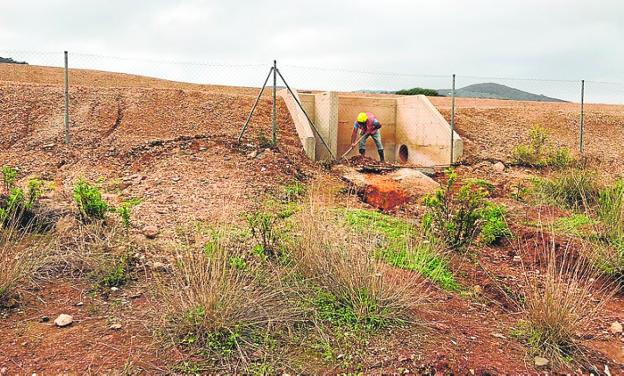 La Comunidad revisa la obra de la Balsa Jenny y Podemos pide al Seprona «llevarse» a Luengo