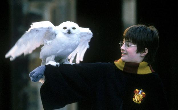 Fotograma de la película 'Harry Potter y la piedra filosofal'. 