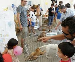 Niños y mayores disfrutando de la exhibición de cachorros en el recinto de La Azacaya, en imagen de archivo. :: JUAN LEAL/