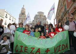 Imagen de una manifestación contra el aborto de abril de este año. :: F. Manzanera/AGM/