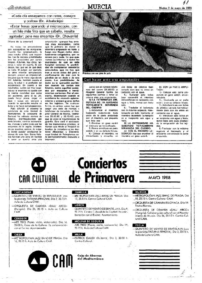 Página 11