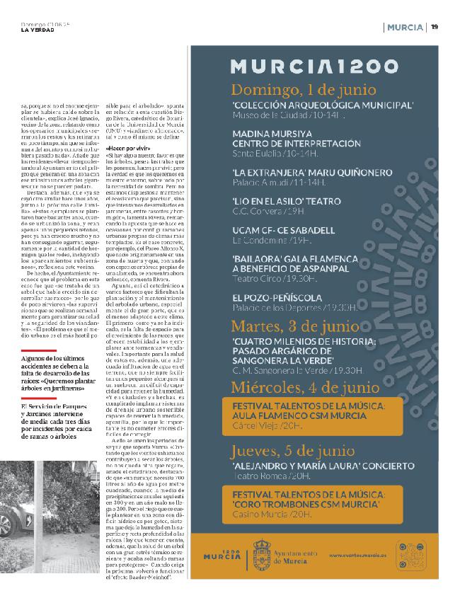 Página 19