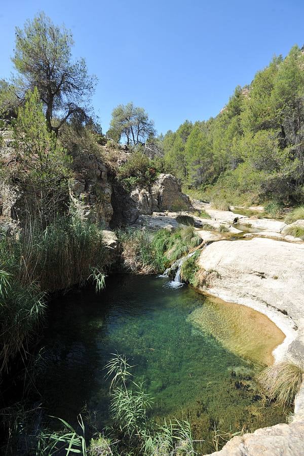 Un baño de naturaleza - laverdad.es