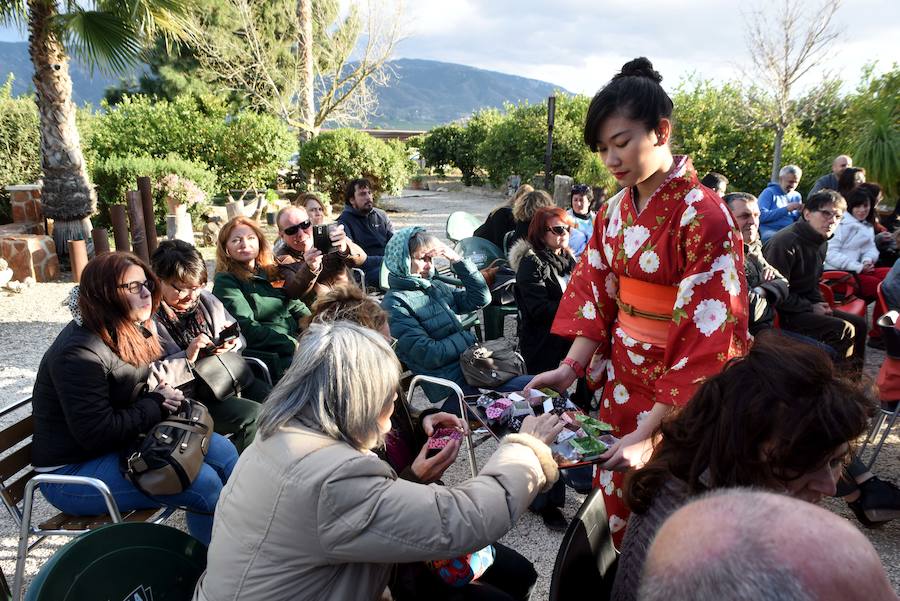 Las flores danzan en Los Palacios - laverdad.es