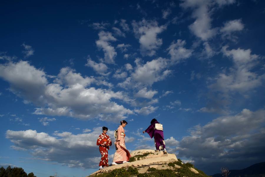 Las flores danzan en Los Palacios - laverdad.es