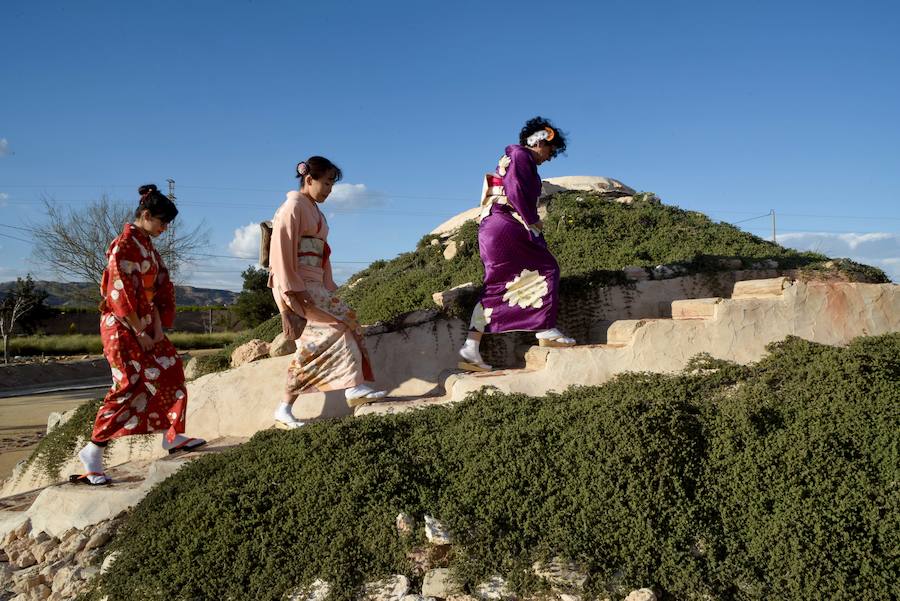 Las flores danzan en Los Palacios - laverdad.es