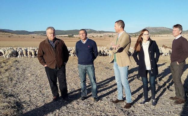 El PP muestra su apoyo al cordero Segureño y reivindica ayudas al sector ganadero para fijar población en el medio rural