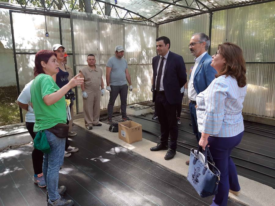 Una treintena de personas participan en los nuevos programas de empleo en distintos espacios públicos de Caravaca