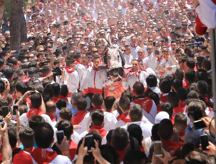 El PSOE apoya la candidatura para declarar Patrimonio Cultural Inmaterial los Caballos del Vino