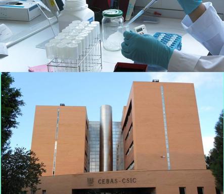 La UMU colaborará con el IES San Juan de la Cruz para desarrollar proyectos de investigación