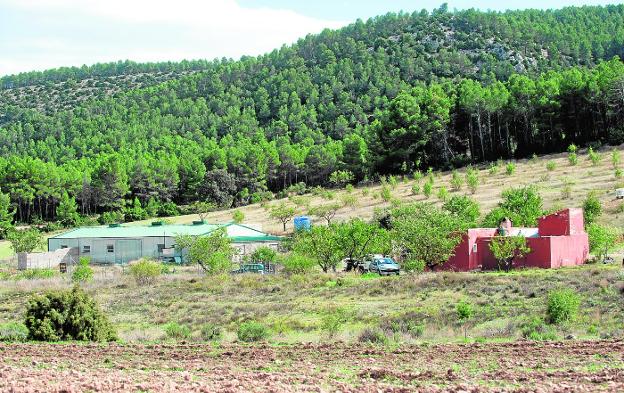 Tiroteo en Archivel: «¡Hijo, que me matan!»