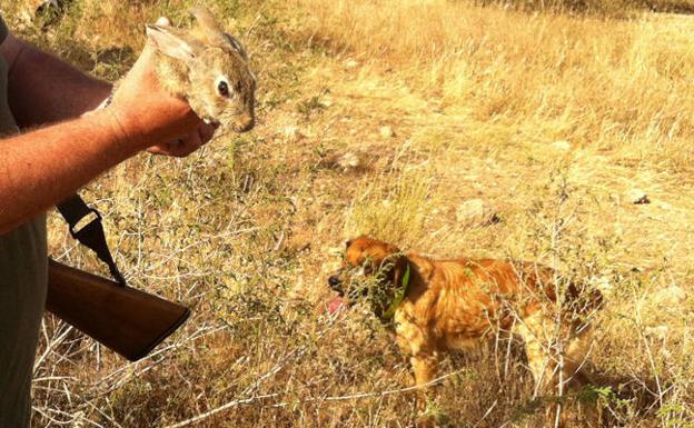 Multan con 7.200 euros al jefe del Seprona en Torre Pacheco por impedir la caza de conejos