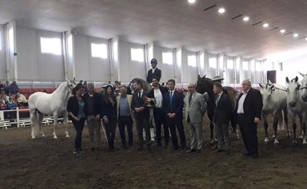 Equimur cierra con más de 13.000 visitas y con el premio a los mejores ejemplares