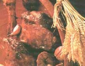 Paletilla de cordero