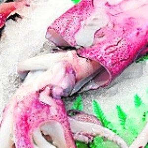 Calamares crujientes