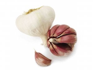 Vinagreta de crema de ajo