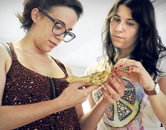 La memoria de los hombres fósiles