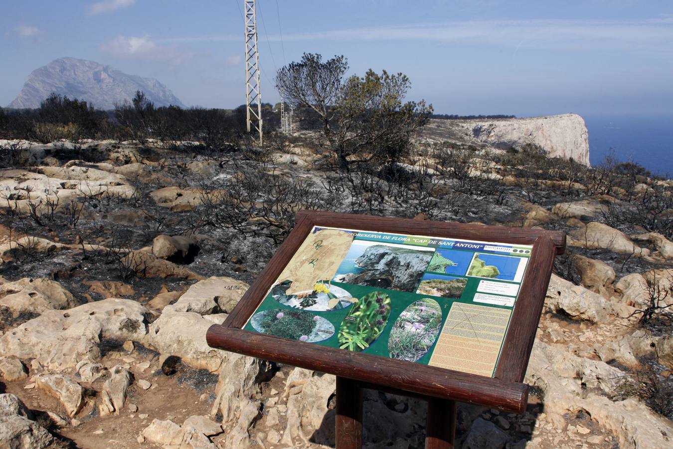 Tareas de limpieza tras el incendio forestal en el parque natural del Montgó