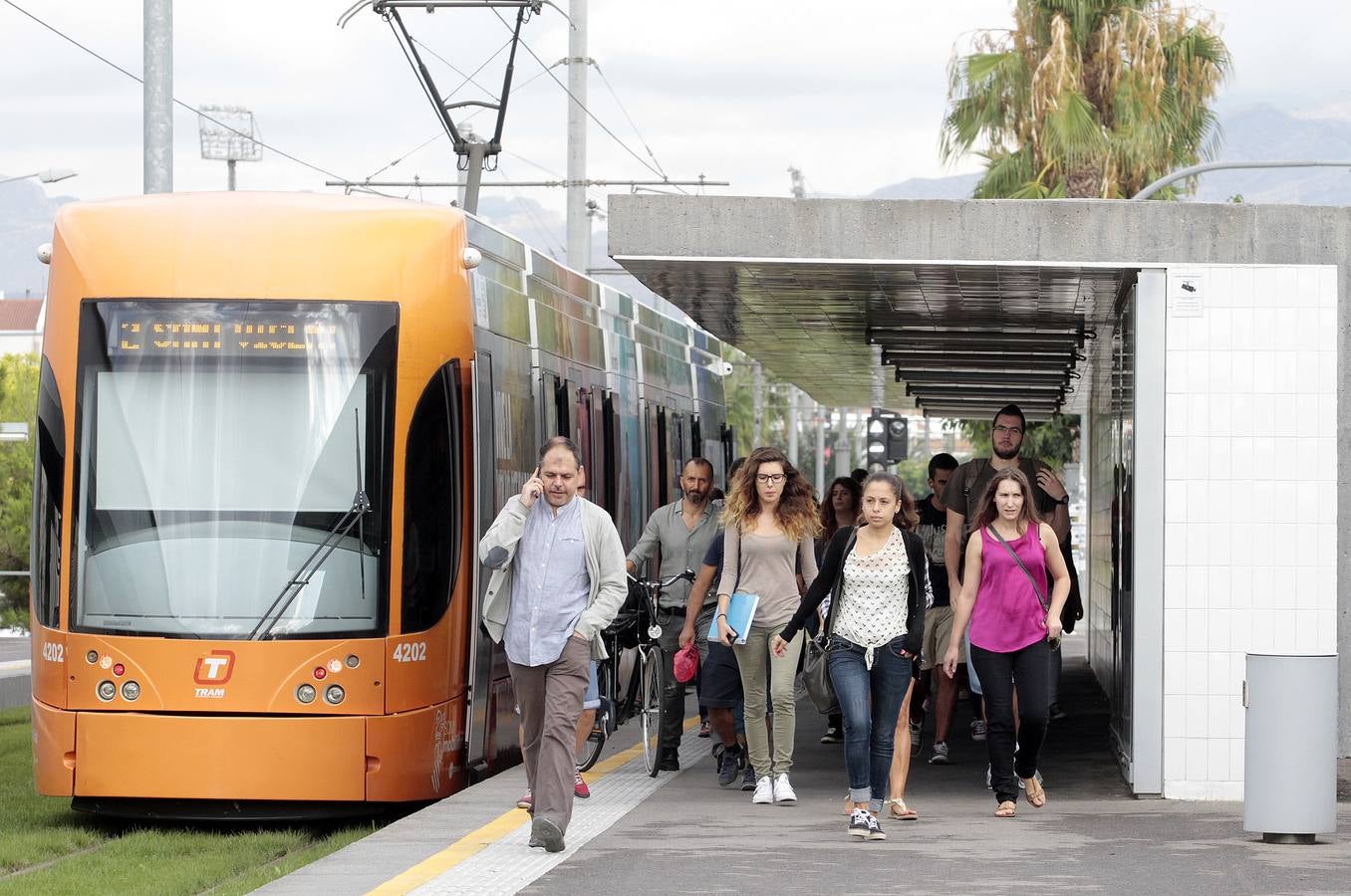 Un accidente impide circular a la Línea 2 del TRAM