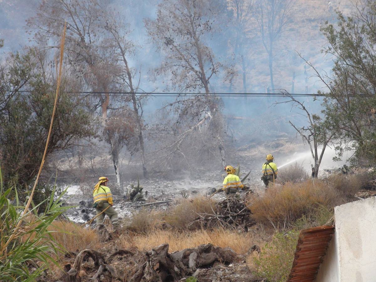 Un incendio calcina casi cuatro hectáreas de monte en Orihuela