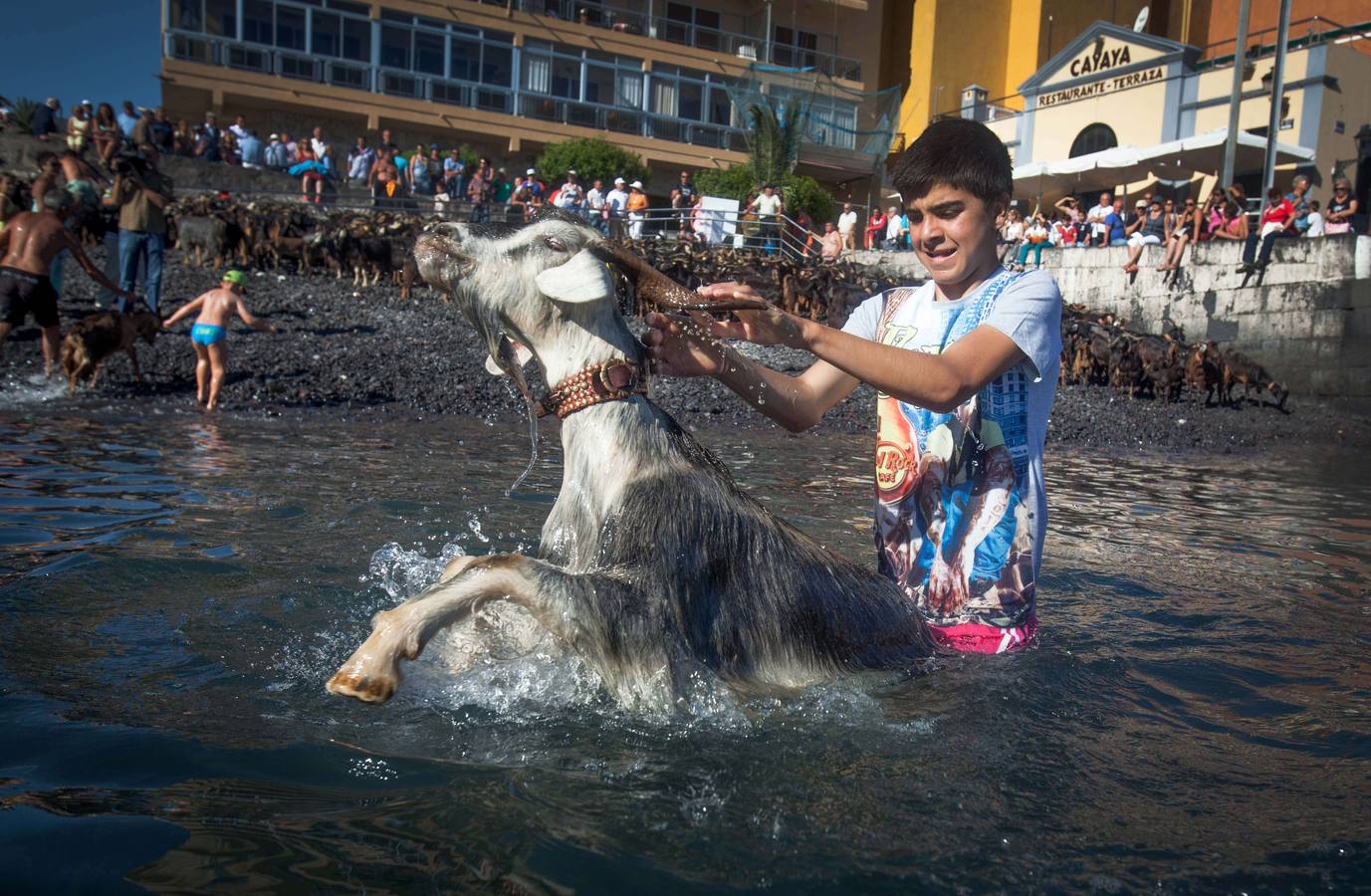 ¡Al agua cabras!