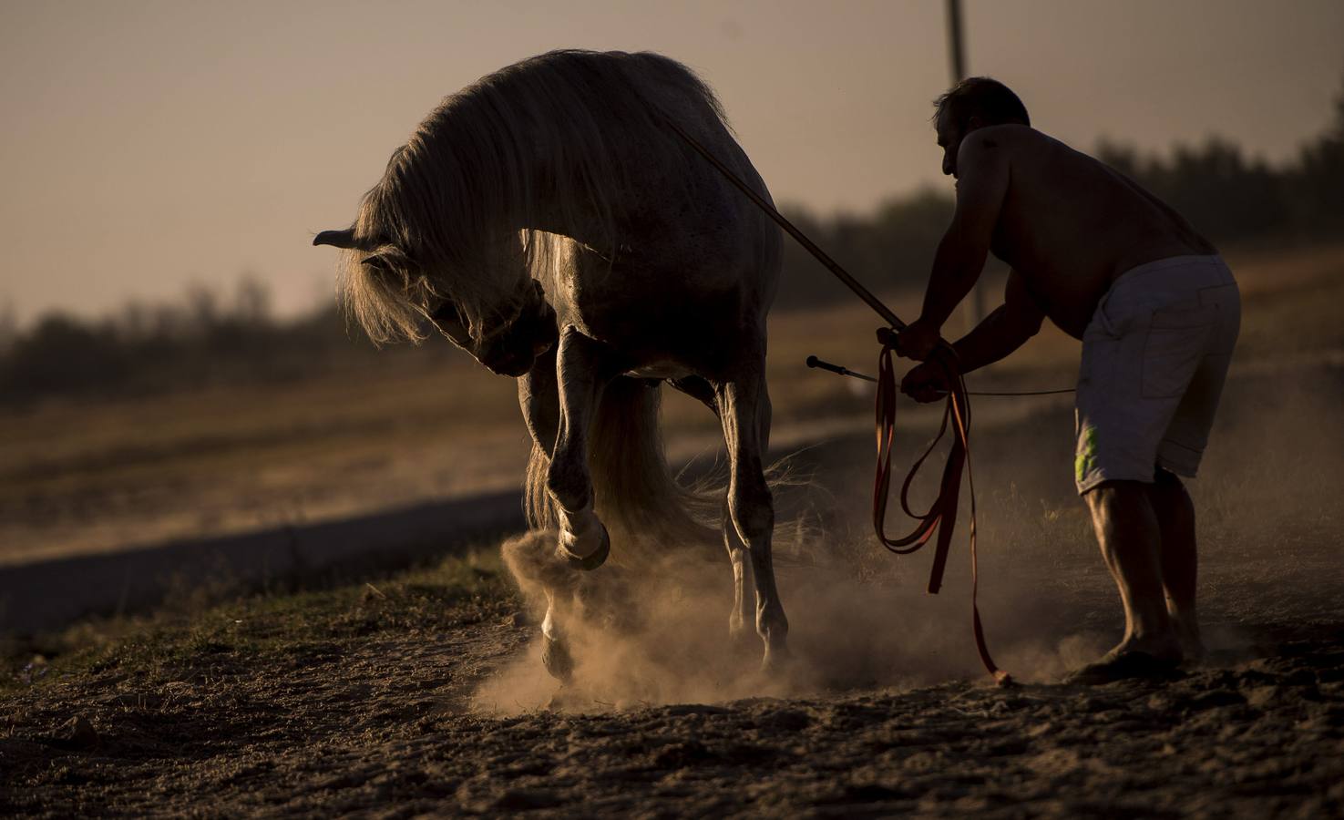 La 'Saca de Yeguas' pasa por Doñana