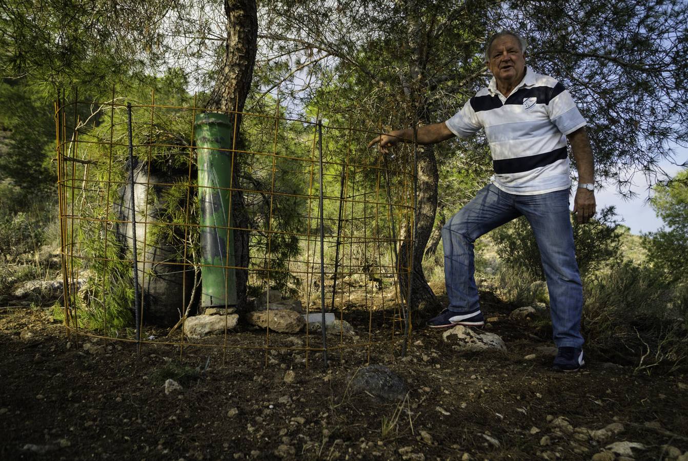 Critican los daños ocasionados al terreno por el arrastre de pinos con 'tomicus'