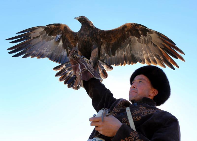 Cazador de altos vuelos